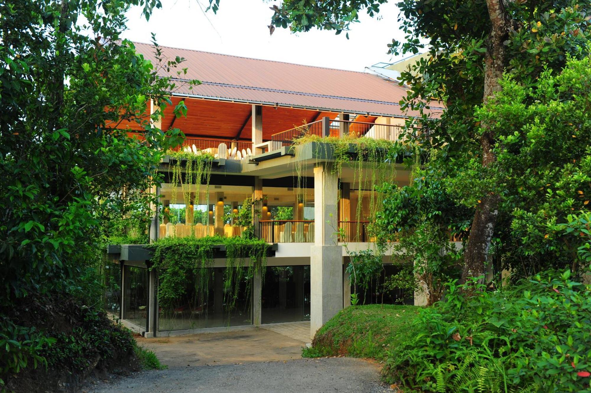 Kithul Kanda The Mountain Resort パードゥッカ エクステリア 写真